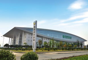 紅網政務中心 科技賦能文教，智慧服務民生