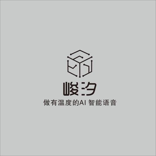 田希偉 以網(wǎng)絡(luò)工程與信息技術(shù)服務(wù)，賦能企業(yè)數(shù)字化未來(lái)